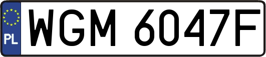 WGM6047F