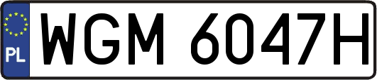 WGM6047H
