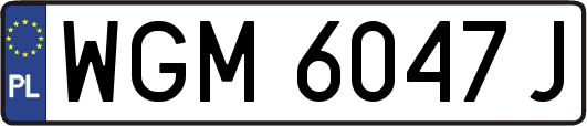 WGM6047J