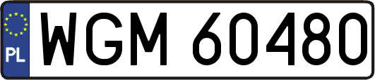 WGM60480
