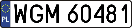 WGM60481