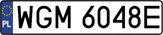 WGM6048E
