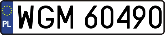 WGM60490