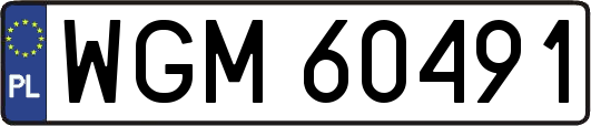 WGM60491