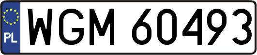 WGM60493