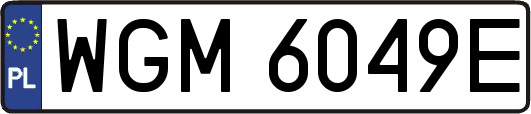 WGM6049E