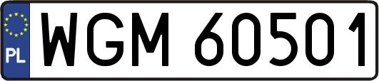 WGM60501