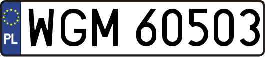 WGM60503