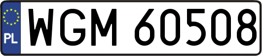 WGM60508