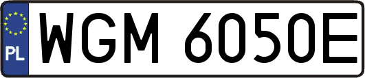 WGM6050E