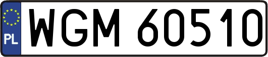 WGM60510
