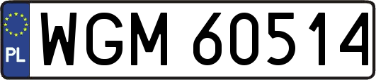 WGM60514