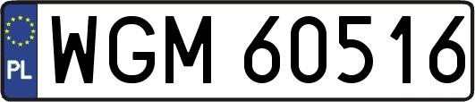 WGM60516