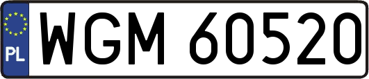 WGM60520