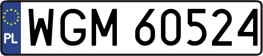 WGM60524