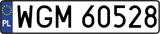 WGM60528