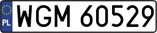 WGM60529