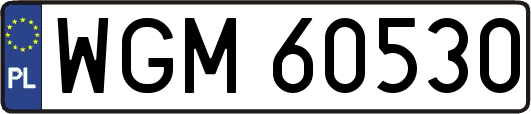 WGM60530