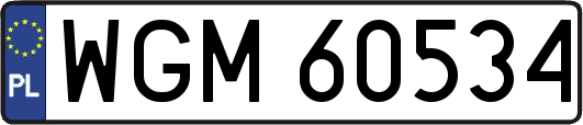WGM60534