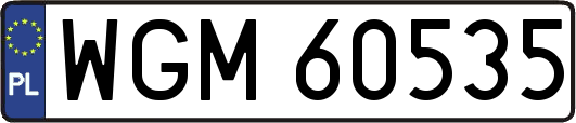 WGM60535