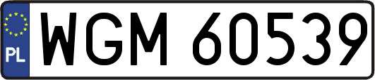 WGM60539
