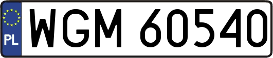 WGM60540