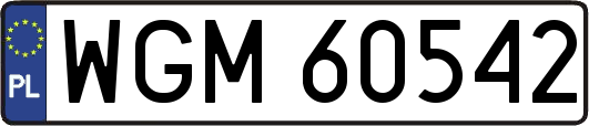 WGM60542