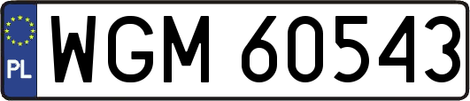WGM60543