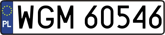 WGM60546