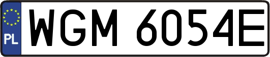 WGM6054E