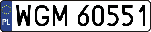 WGM60551