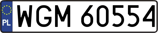 WGM60554