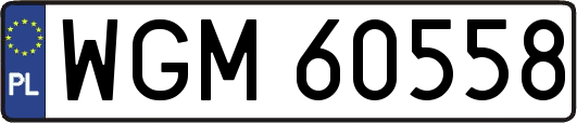 WGM60558