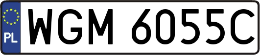 WGM6055C