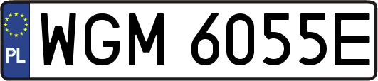 WGM6055E
