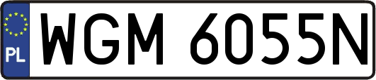 WGM6055N