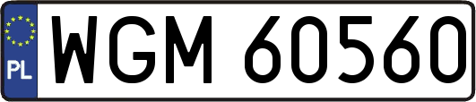 WGM60560