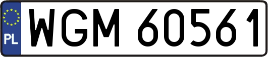 WGM60561