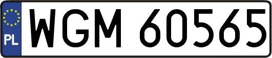 WGM60565