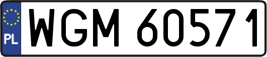 WGM60571