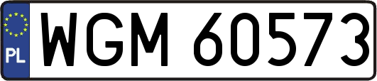 WGM60573