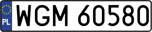 WGM60580