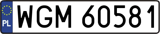 WGM60581