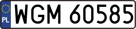 WGM60585