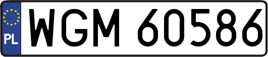 WGM60586