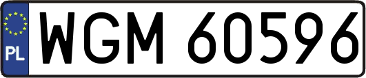 WGM60596