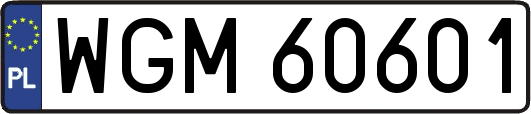 WGM60601