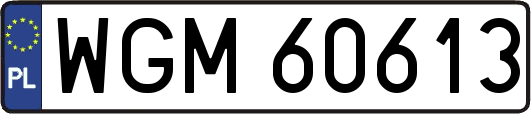 WGM60613