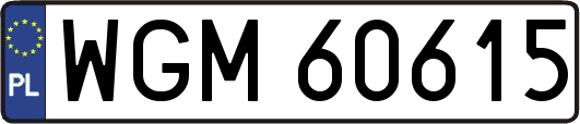 WGM60615