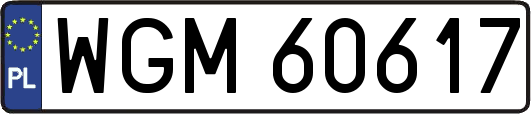 WGM60617